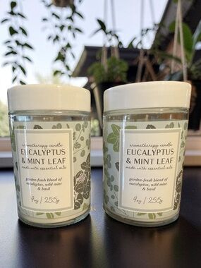Eucalyptus & Mint Leaf Aromatherapy Candles X2 Made with Essential Oils 9 Oz